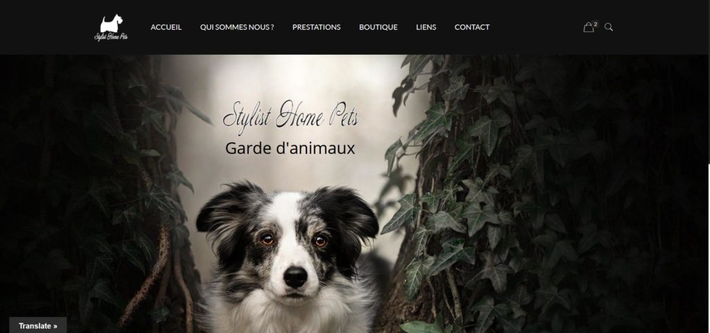 Stylisthomepets 1024x480